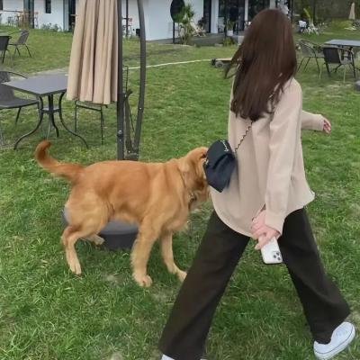 里斯本的秘密