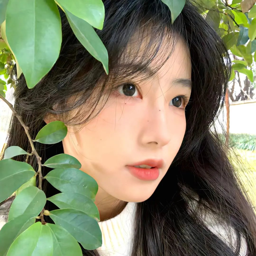 罗莎夫人