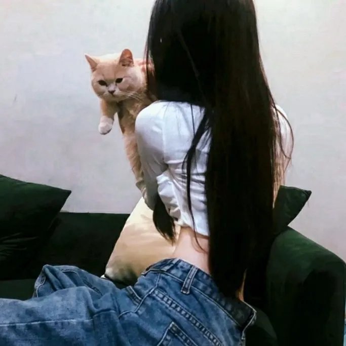 少年派2